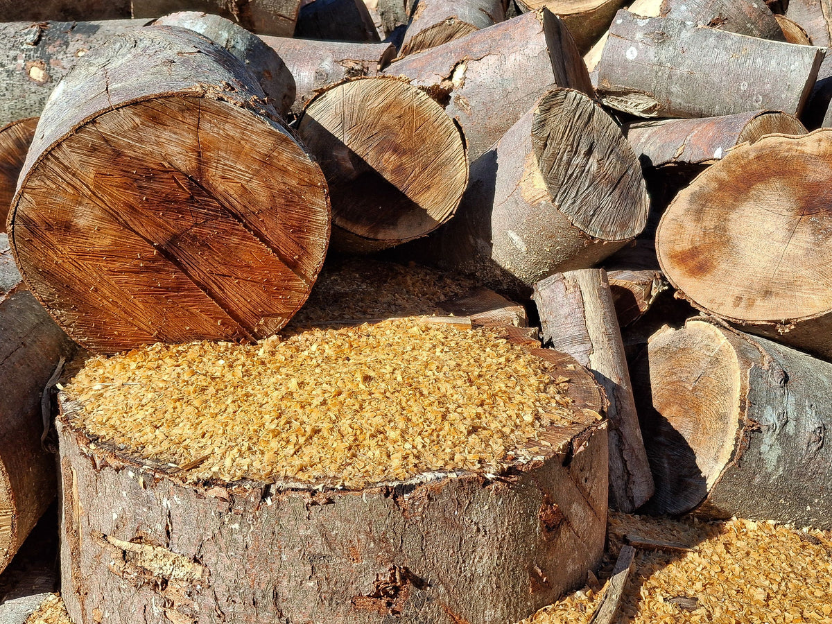 Bois fraîchement coupé et sciure, origine du combustible de fumage
