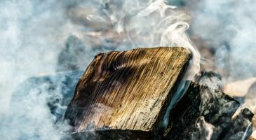 Quel-bois-choisir-pour-le-fumage-à-chaud-Le-guide-ultime-pour-des-saveurs-réussies Hêtre sciure