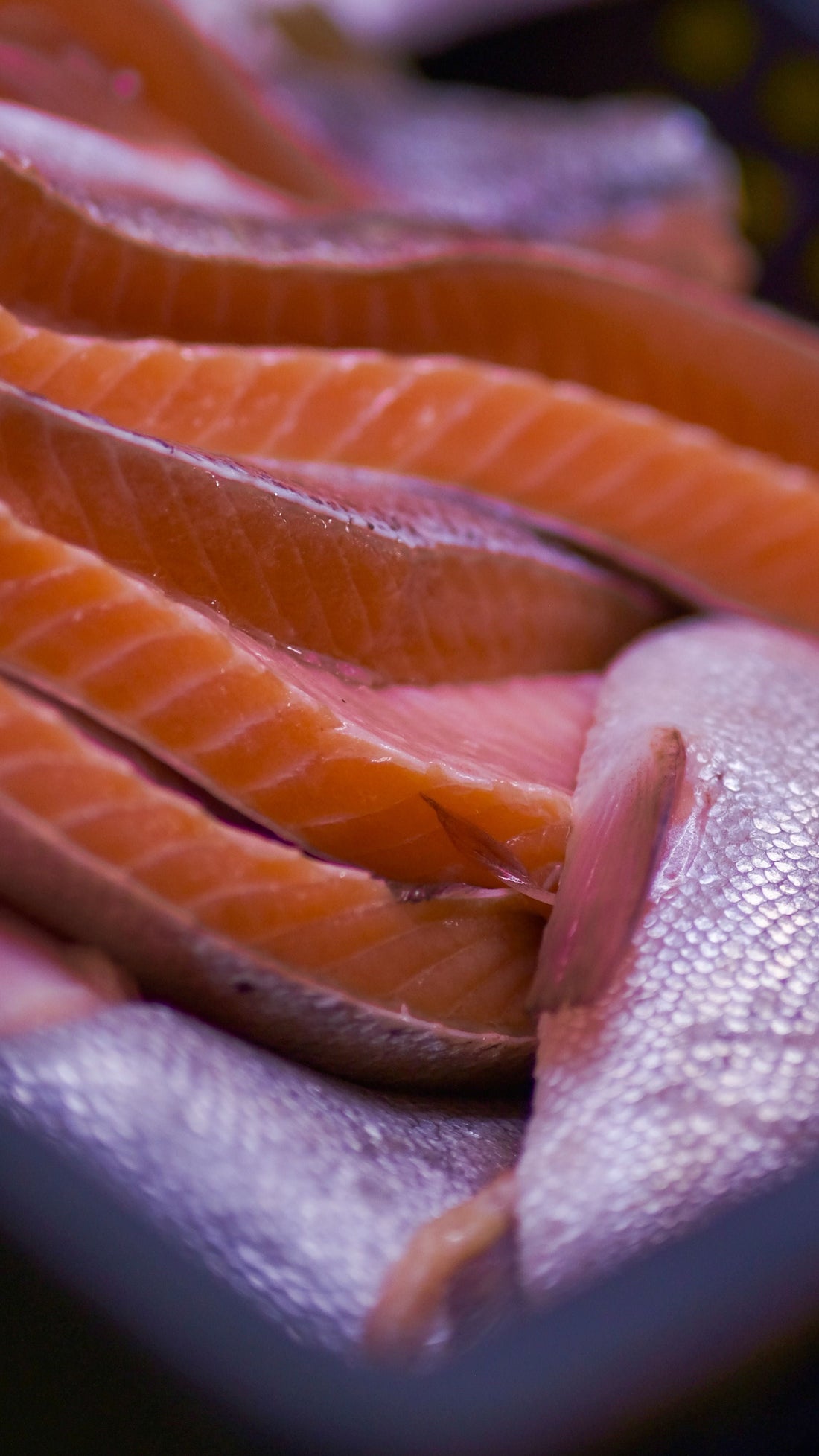 Surface d'un filet de saumon formant la pellicule avant fumage
